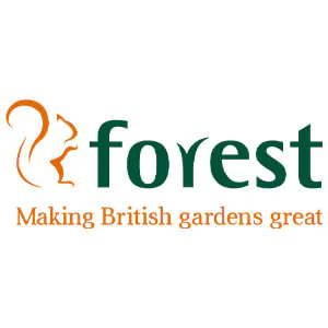 Forest pressure-treated timber garden shed