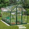 6' x 12' Palram Canopia Harmony Large Green Polycarbonate Greenhouse (1.85m x 3.70m)