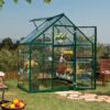 6' x 4' Palram Canopia Harmony Green Polycarbonate Greenhouse (1.85m x 1.26m)