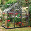 6' x 4' Palram Canopia Harmony Grey Polycarbonate Greenhouse (1.85m x 1.26m)