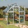 6' x 6' Palram Canopia Harmony Silver Polycarbonate Greenhouse (1.85m x 1.86m)